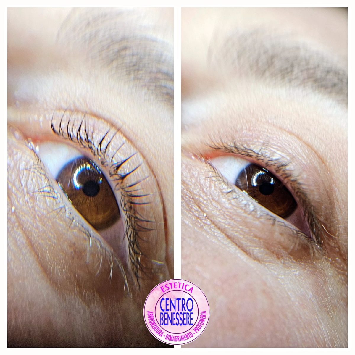 428826849_1046399153091871_5611780042649265560_n