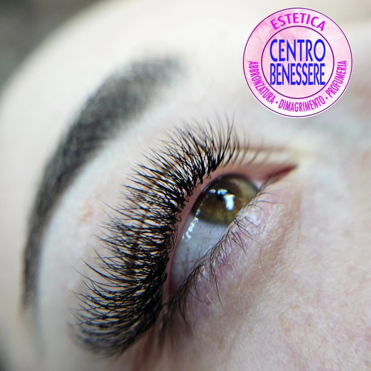 431173801_365726523086695_4478545700446340240_n